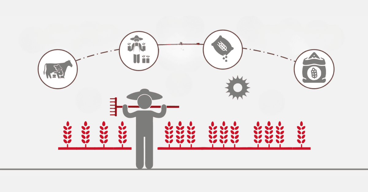 Agricultural Insurance in South Africa